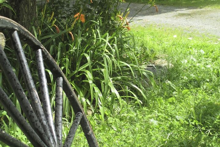 Valle Crucis Farm photo 3