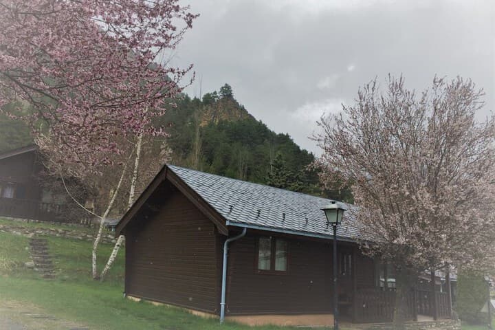 Apartamentos y Bungalows Xixerella Park photo 4