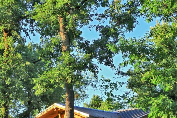Albirondack Park Camping Lodge&Spa photo 3
