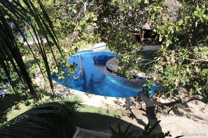 Cashew Grove Beach Resort photo 5