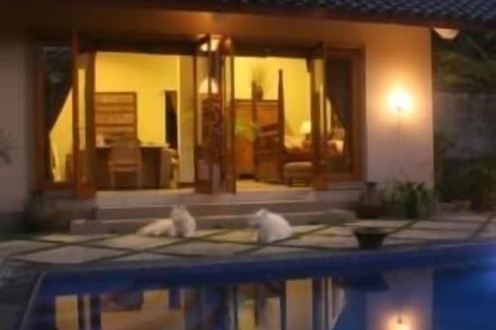 Villa Pakem photo 2