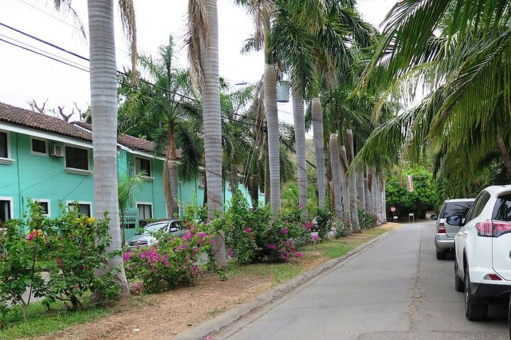 Tropical Gardens photo 5