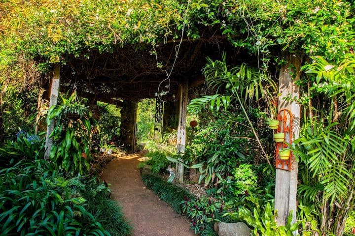 Tamborine Mountain B&B photo 3