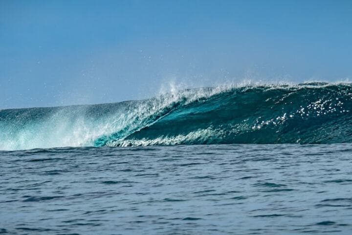 Moorea Surf Inn photo 3