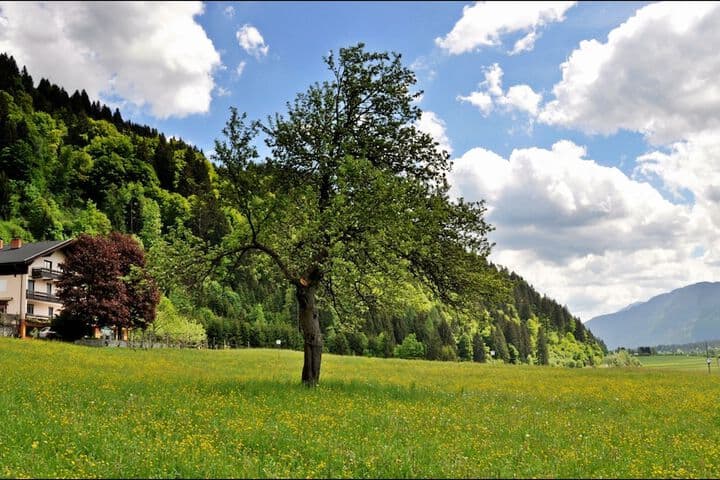 Enzianbrenner Bed & Breakfast photo 5