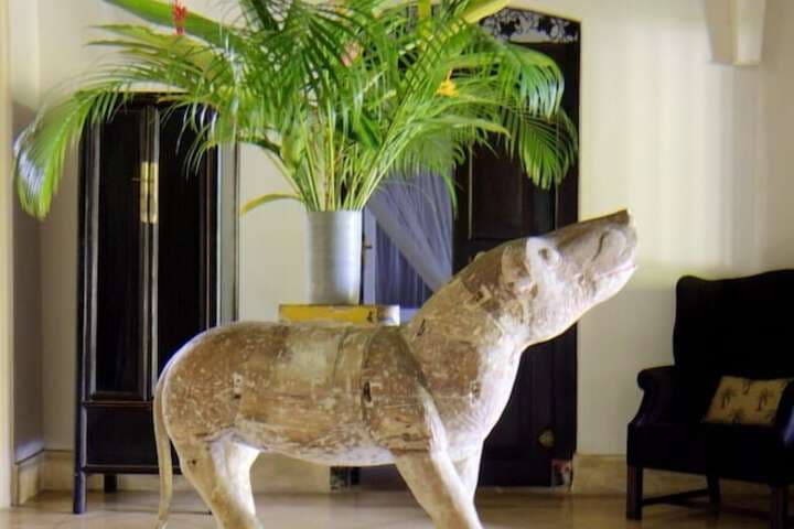 Galle Henna Estate photo 4