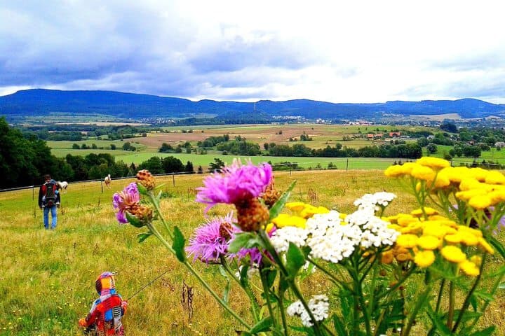Penzion Bor photo 2