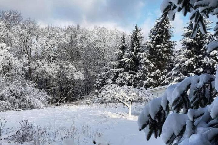The Enchanted Cottage photo 3