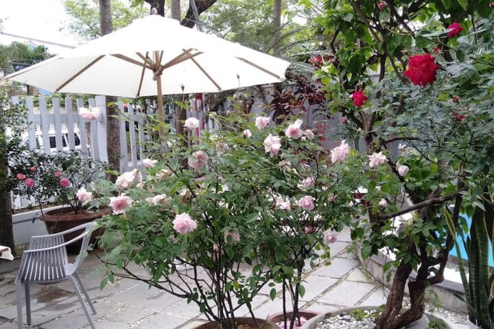 The Moon Villa Hoi An photo 5
