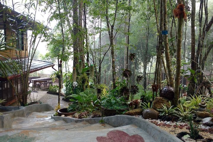 Chestnut Hill Eco Resort photo 5