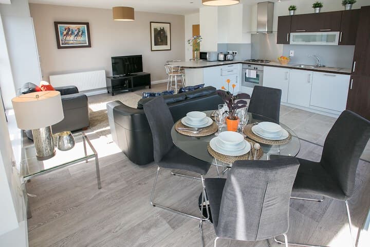 Grand Canal Square Apartments photo 5