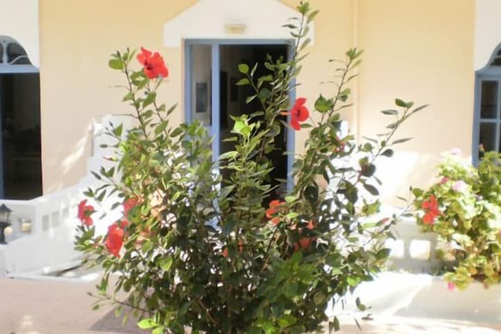 Sirena Apartments photo 4