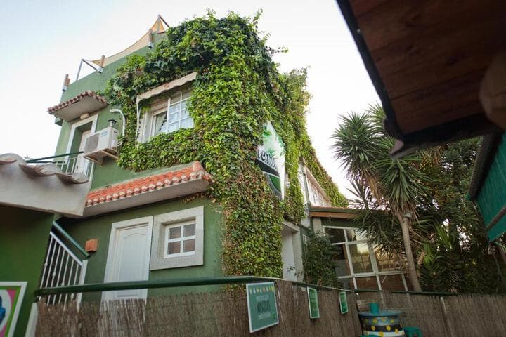 La Casa Verde photo 3