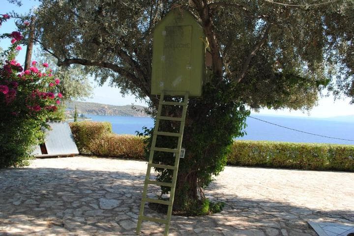 Villa Thea photo 2