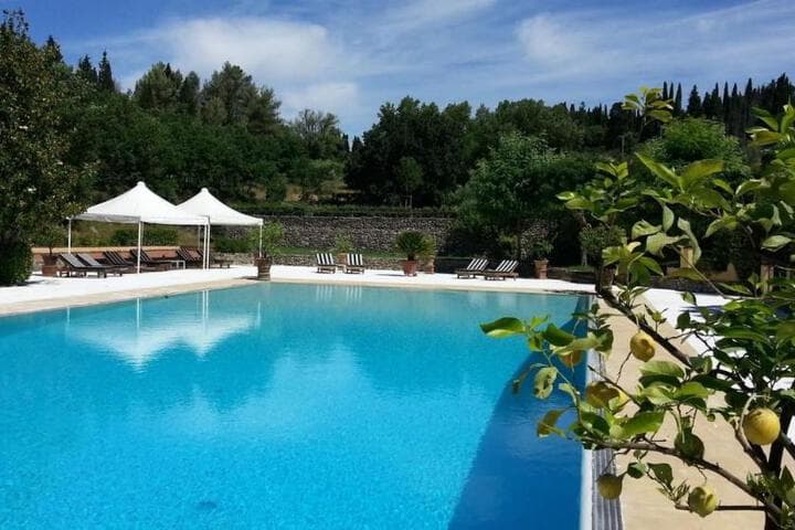Villa Gaudia photo 3
