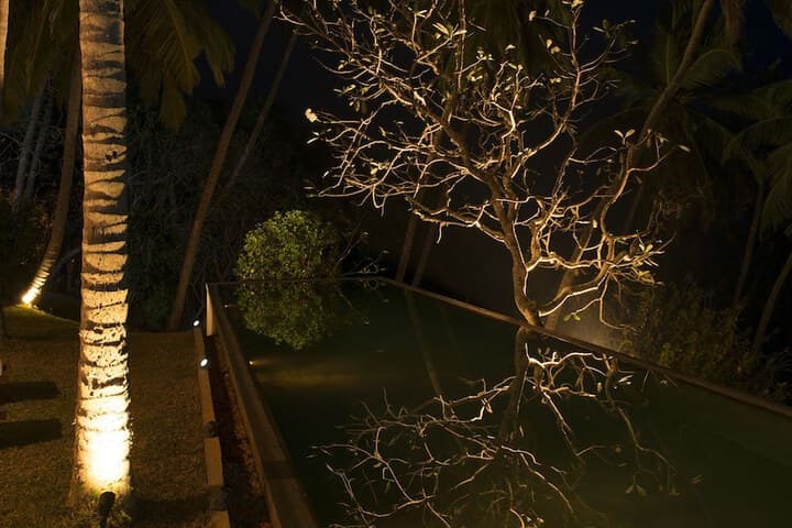 Walatta House photo 4