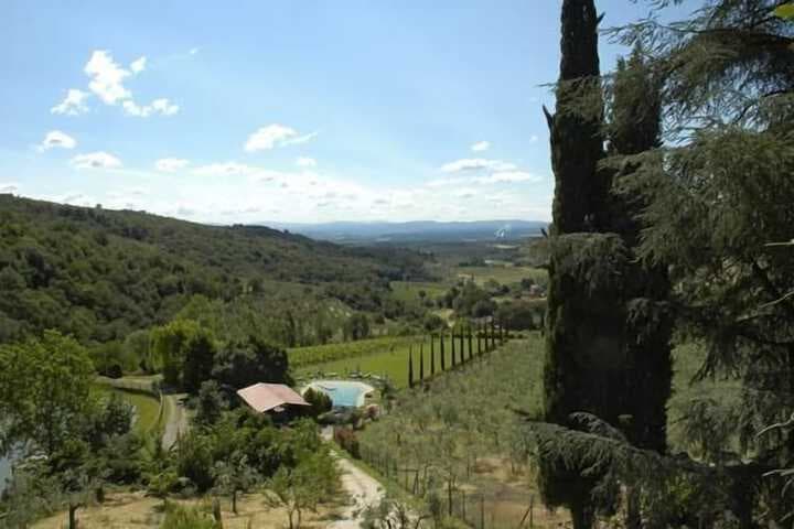 Montescalari photo 5