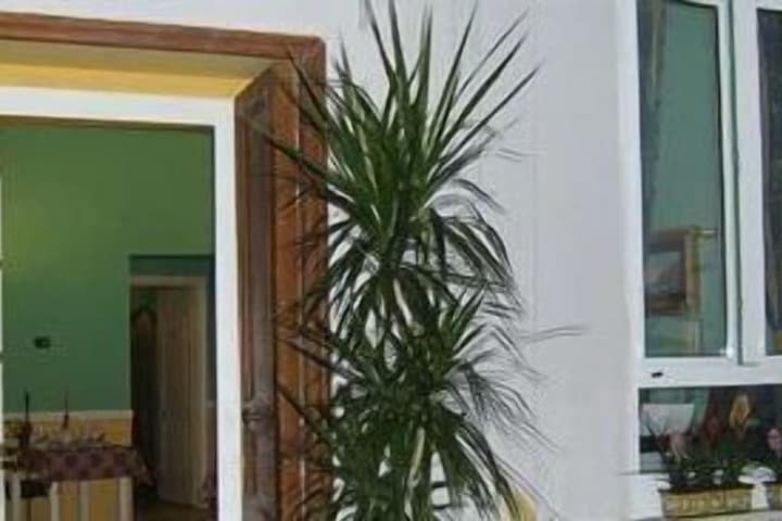 Delle Palme photo 2