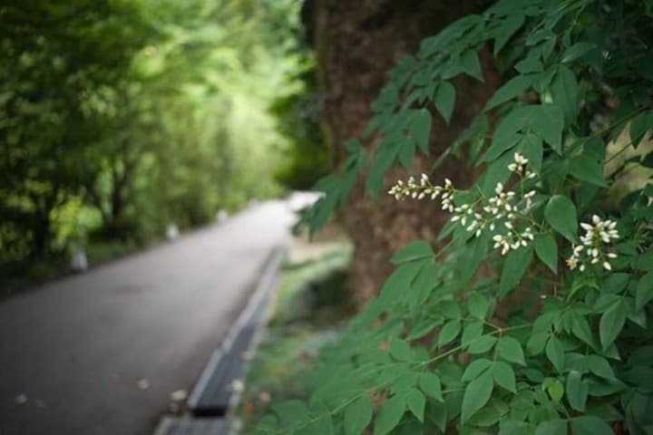 Yuzuya Ryokan Kanazawa Ryokusone photo 2