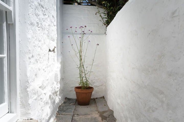 Camilla House Garden Flat photo 2