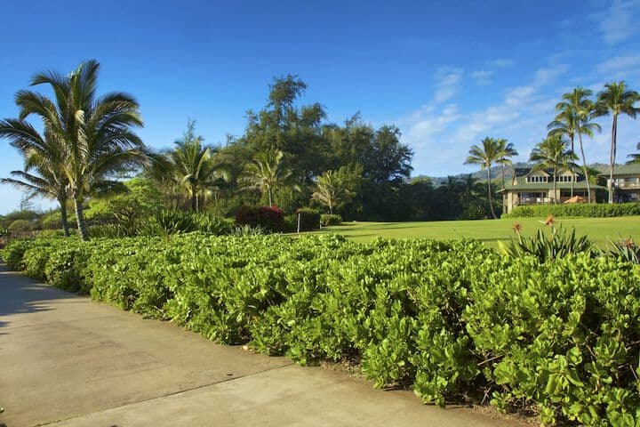Castle Kaha Lani Resort photo 2