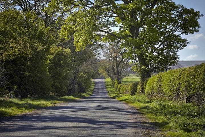 Lily Hill Farm photo 2
