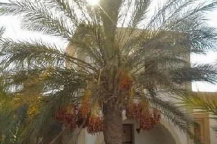 Dar Zargouni photo 5
