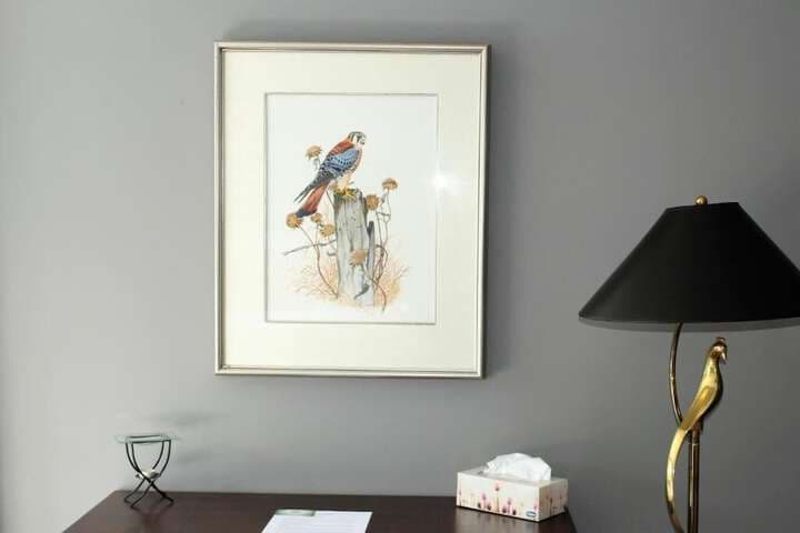 Tailwinds B&B photo 5