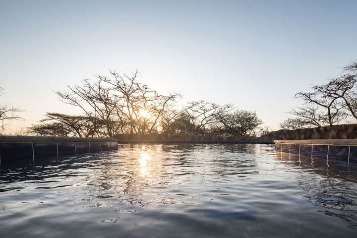 The Hilton Bush Lodge photo 5