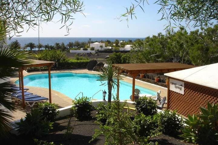 Apartamentos Camels Spring photo 3