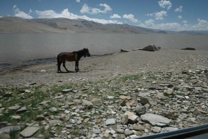 Golden Mark Camp photo 4