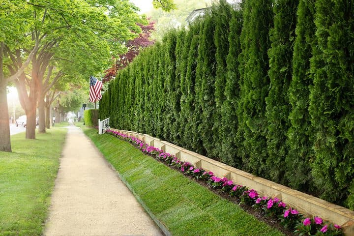 Maison Vivienne Southampton photo 2