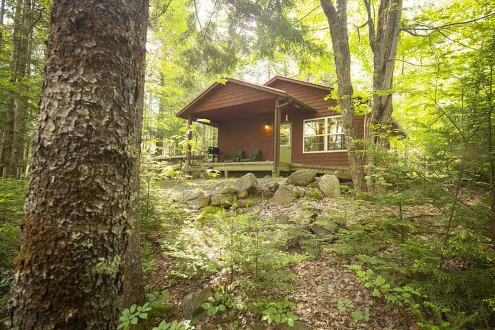 Mersey River Chalets a nature retreat photo 2