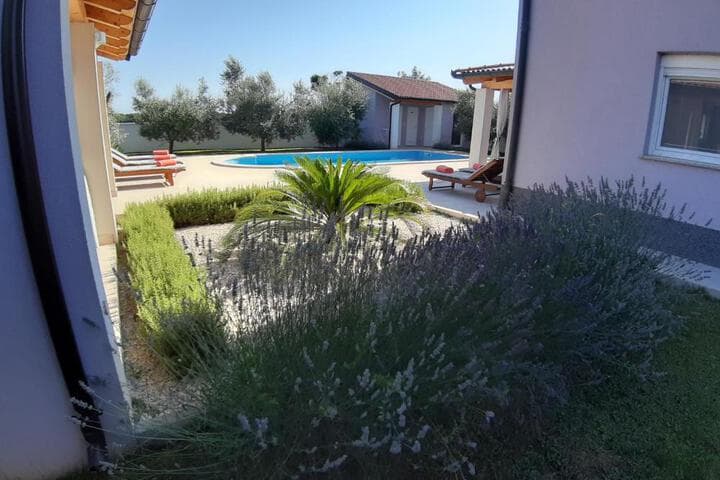 Villa Zeus photo 4