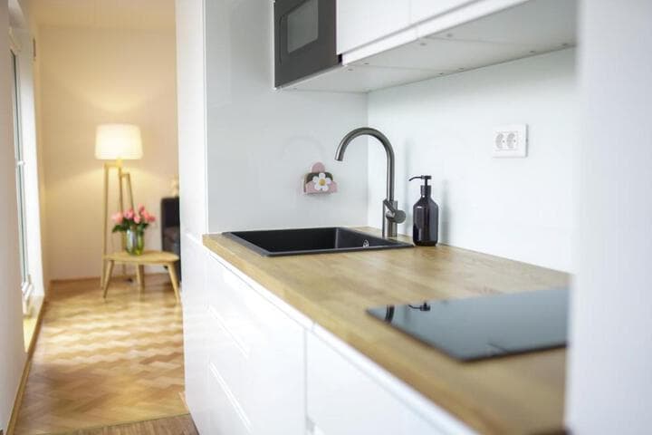 Bright Apartment photo 2