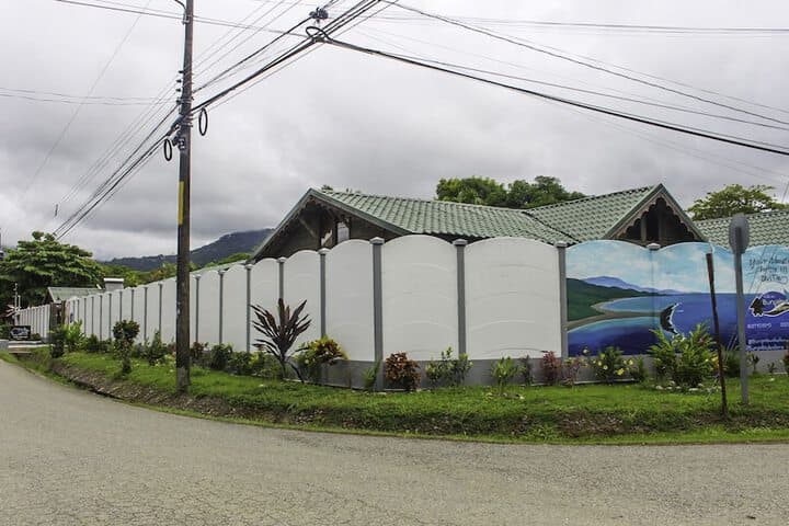 Villas Bungalows Ballena photo 5