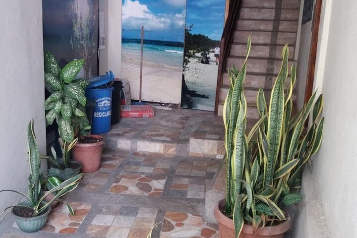 Hostal Miconia photo 4