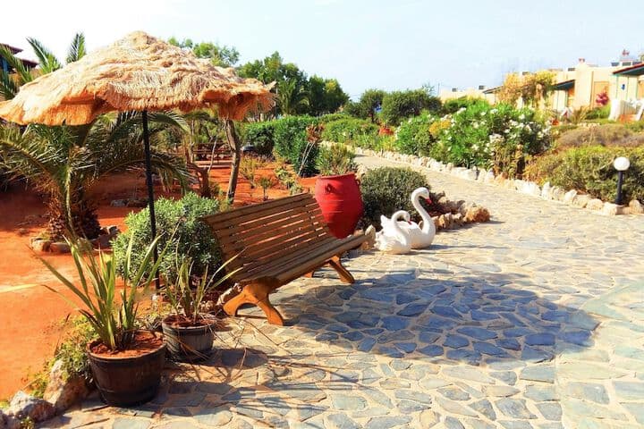 Zorbas Beach Village Hotel photo 3