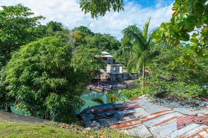 Tropical Beach Suite photo 5