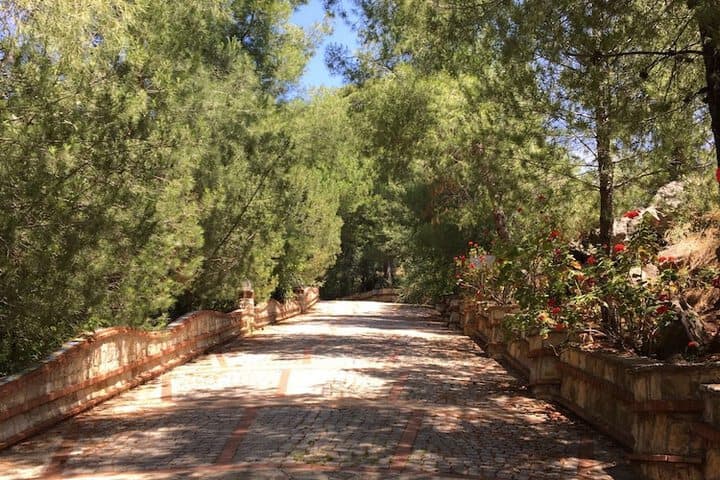 Villa Symbola photo 5