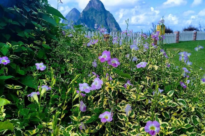 La Haut Resort photo 3
