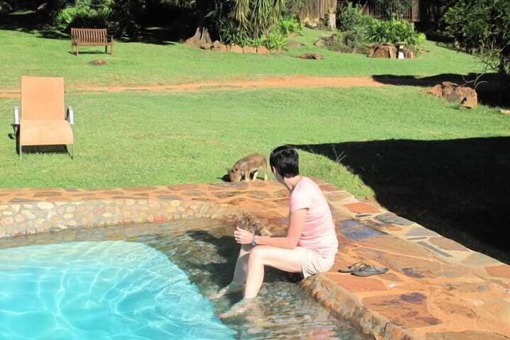 Caracal Lodge photo 2