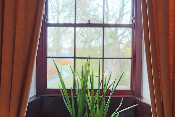 Stafford House Guest House photo 5