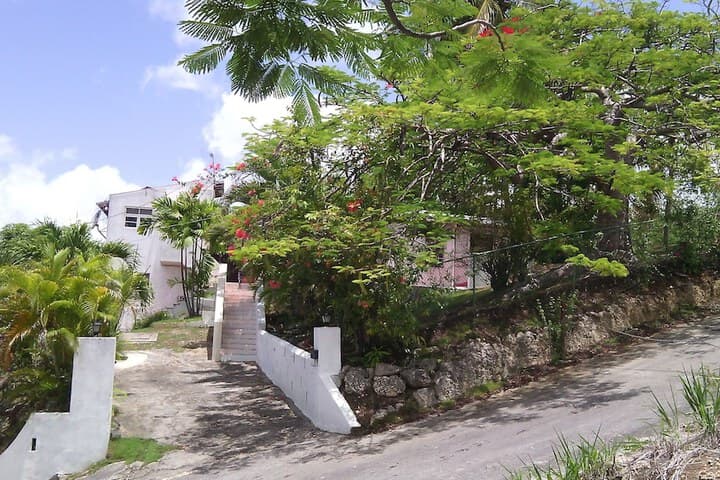 Morris Apartments photo 3