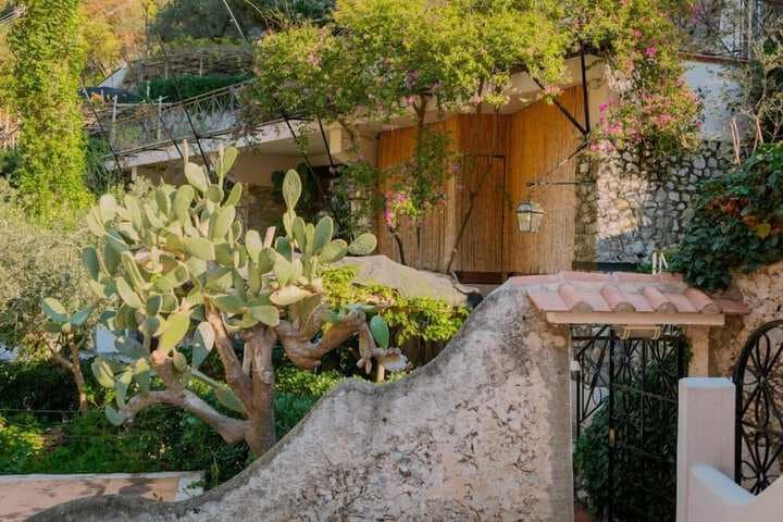 Residence Villa Rosa photo 4
