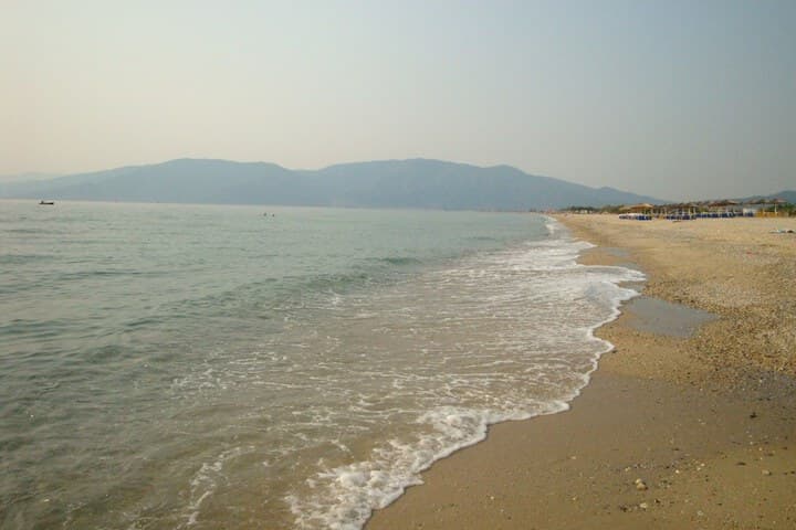 Pension Delfini photo 5