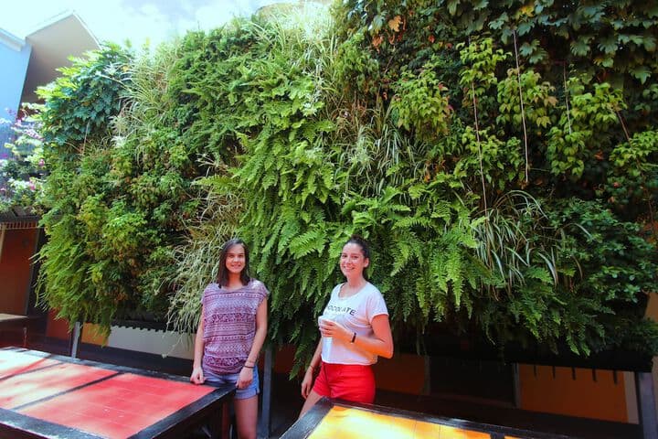 Original Backpackers photo 4