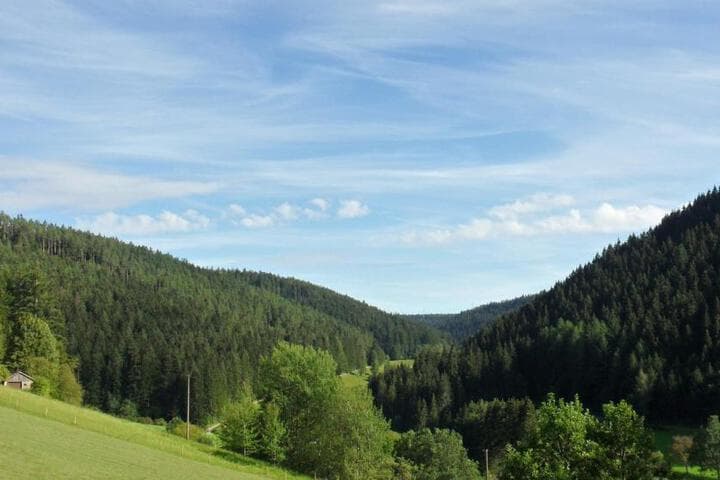 Ferienwohnung Kaufmann photo 1