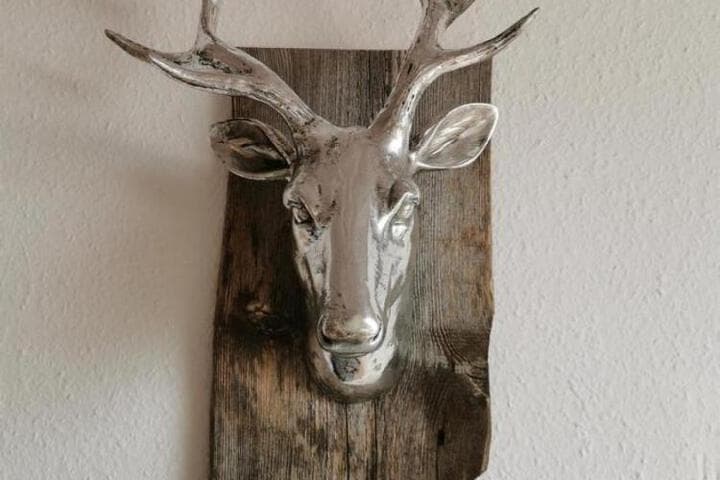 Ferienwohnungen Fischer photo 3
