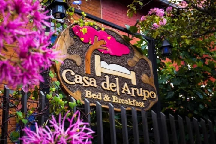 La Casa del Arupo photo 3